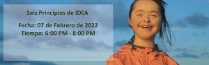 Spanish-Six-Principles-of-IDEA-Feb-22